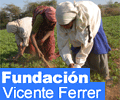 Fundaci&oacute;n Vicente Ferrer